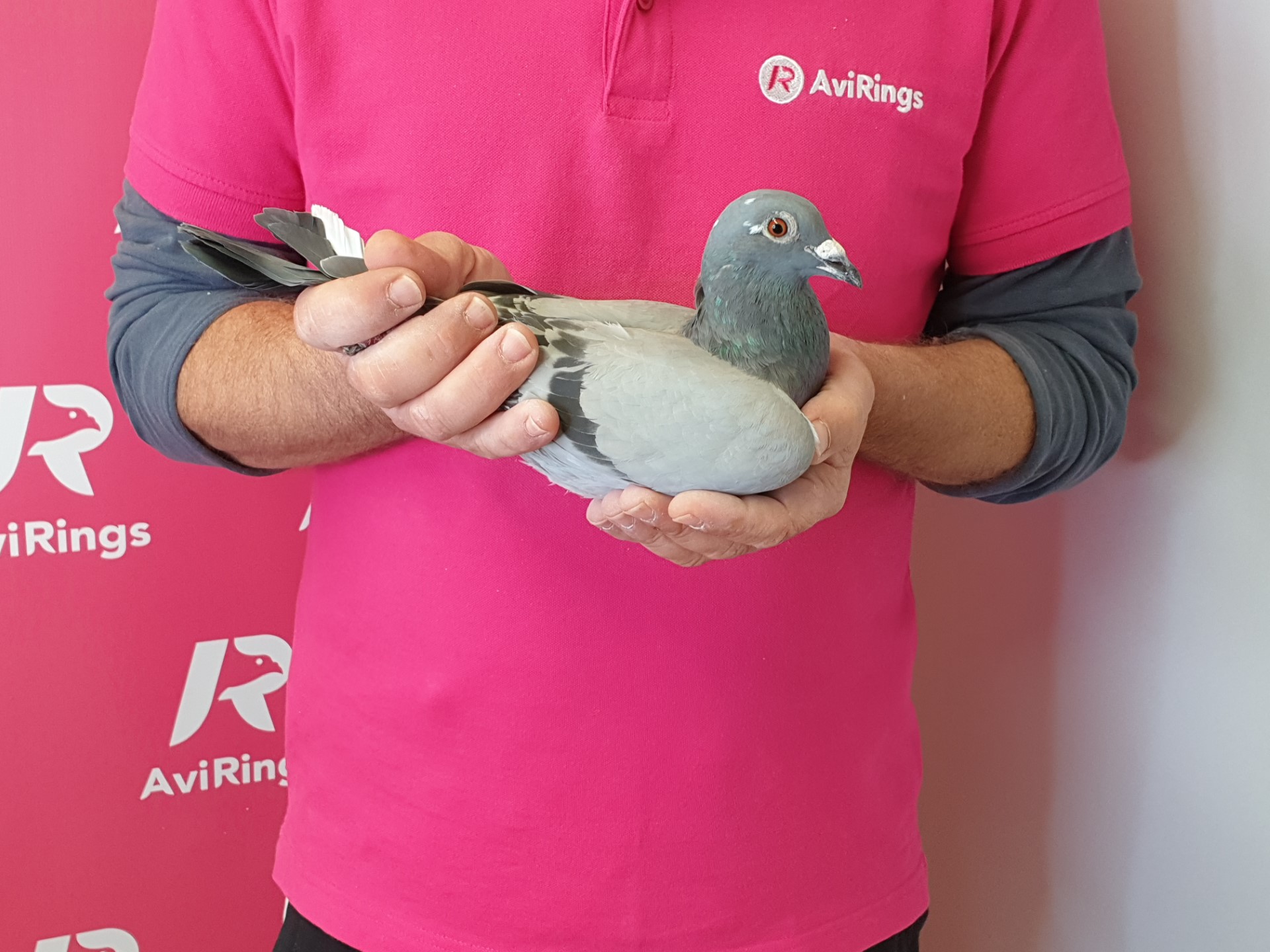 NL-2020-228-000326 (YOUNG WIMPIE)